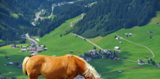 Turystyka jeździecka