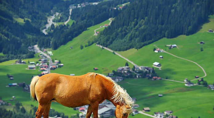 Turystyka jeździecka