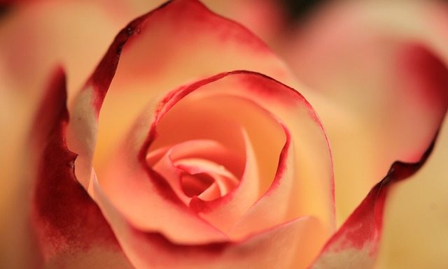 Profesjonalne kosmetyki do makijażu