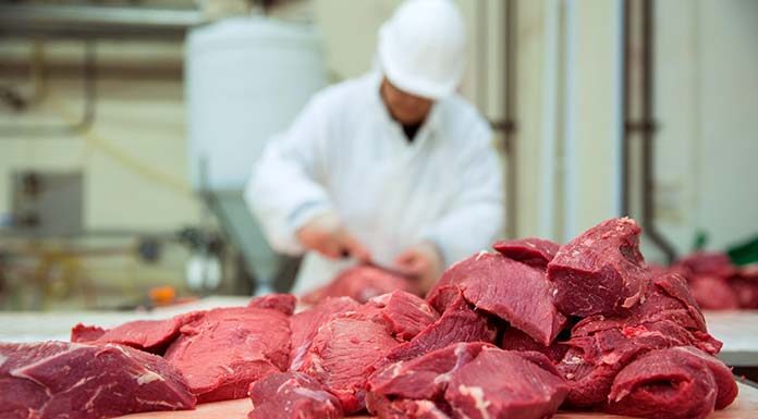 Jak kupować wilki do mięsa