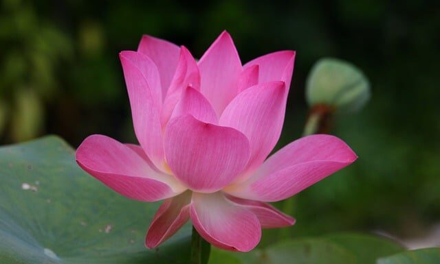 Jak się mówi po angielsku krawat?