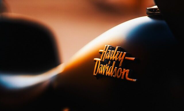 Co oznacza logo Ralph Lauren?