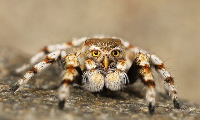 Jak odróżnić podróbkę od oryginału Louis Vuitton?