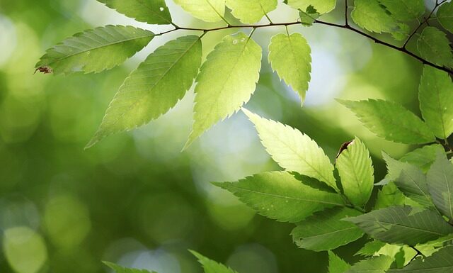 Czego życzyć państwu młodym?