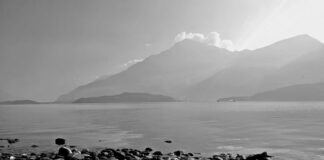 Ile kosztuje udziec na wesele?