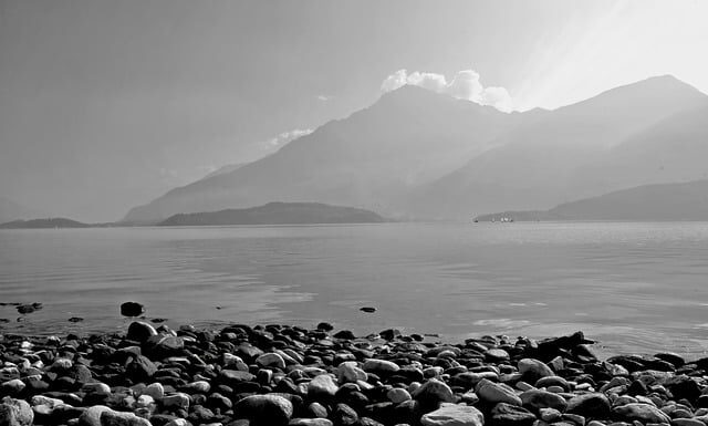 Ile kosztuje udziec na wesele?