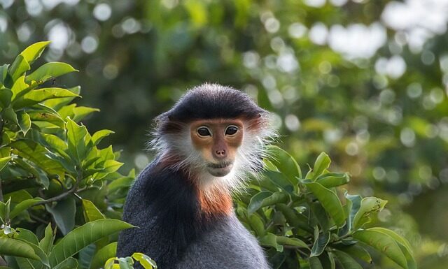 Ile jest rodzajów majtek?