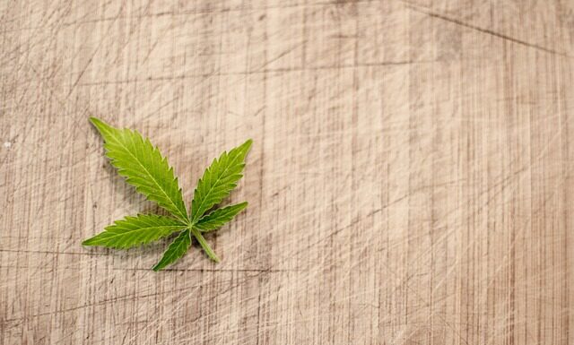 Jak długo jest ważna legalizacja wagi?