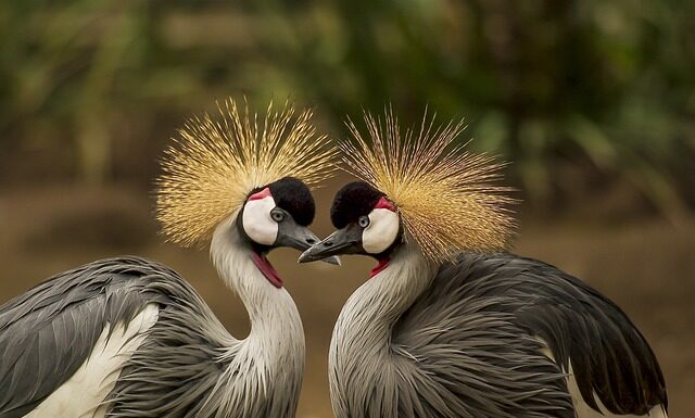 Jak się nazywa nakrycie głowy żołnierza? Jak się nazywa nakrycie głowy żołnierza?