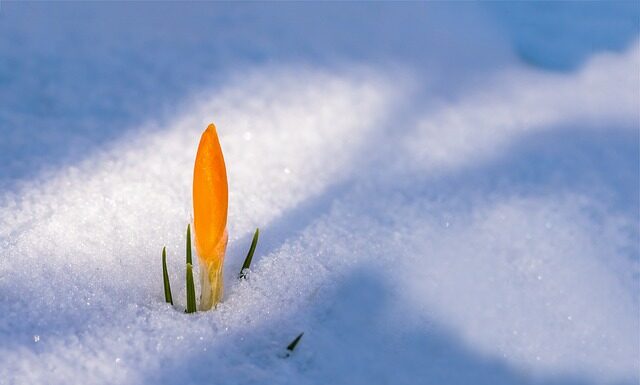 Czy trzeba mieć 18 lat żeby przebić uszy?