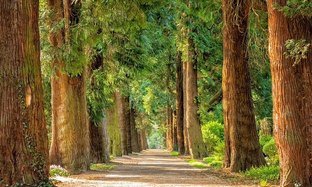 Jak zrobić wiejski kociołek?