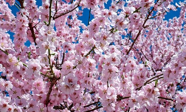 Jakie okrycia wierzchnie na wiosnę?