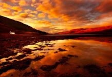 Jak wyglądają majtki push up?