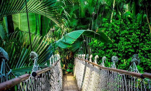 Ile trwa kurs piercingu?