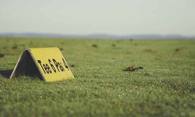 Jak przerobić za duża koszulkę?