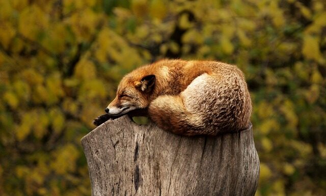 Gdzie jest Dziki Zachód?