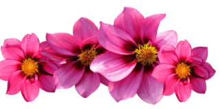 Gdzie kupię wagę jubilerska?