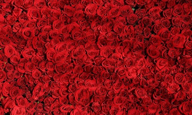 Czym się różni żakiet od marynarki?