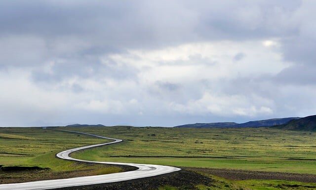 Jak prowadzić mokra muchę?