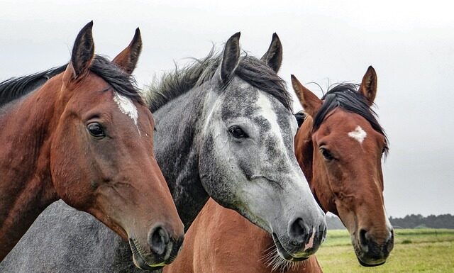 Jak dobrać nakrycie głowy? Jak dobrać nakrycie głowy?