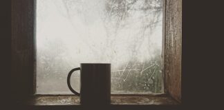 Co na zimną płytę na wesele?