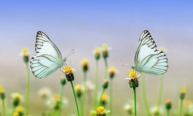 Jakie kurtki na wiosnę 2023?