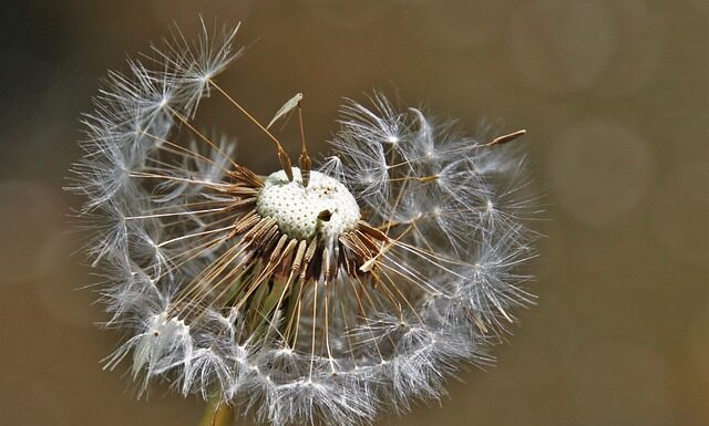 Jaka marynarka do zwiewnej sukienki?