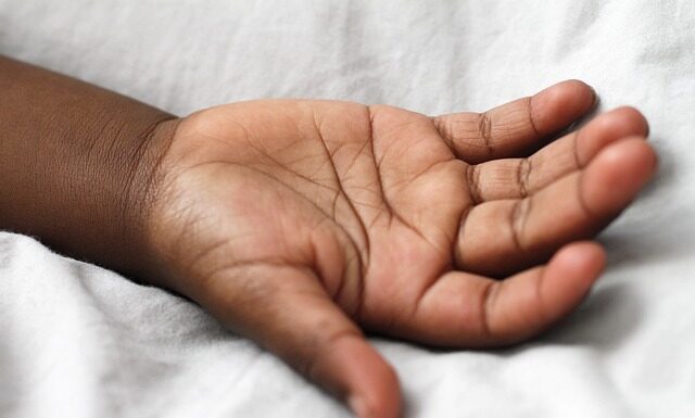 Do czego czarną muszka?