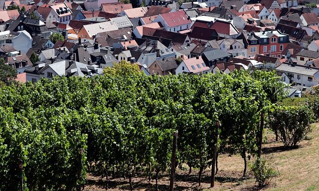 Jaka miejscowość i data na kartce z życzeniami?