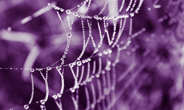 Ile kosztuje oryginalna torebka Chanel?