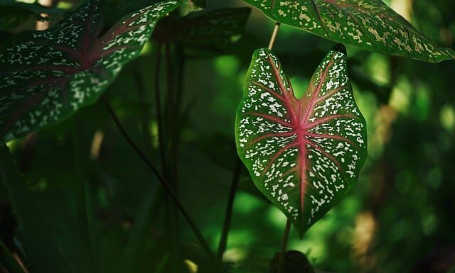 Czy Tare się odejmuje? Czy Tare się odejmuje?