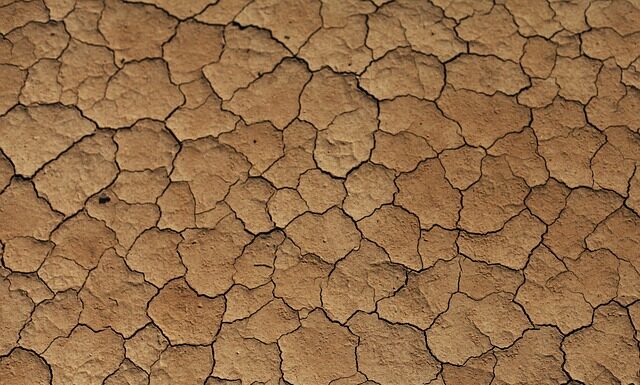 Co do beżowych legginsów? Co do beżowych legginsów?