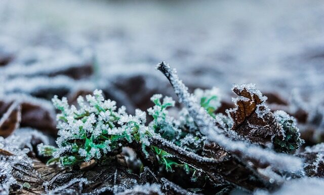 Co się dzieje z ciałem po napromieniowaniu? Co się dzieje z ciałem po napromieniowaniu?