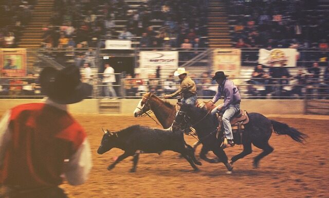 Gdzie mieszkają kowboje?