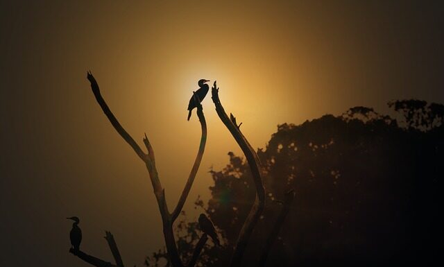 O której godzinie najlepiej się ważyć?