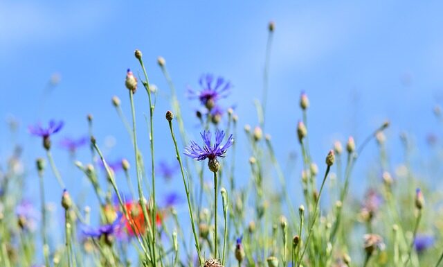 Po co jest drugi guzik w marynarce?