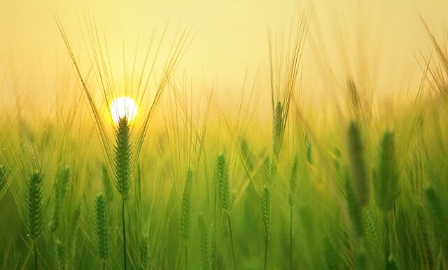 Czego życzyć młodej parze przed kościołem?