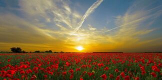 Kto nosi czerwone buty?